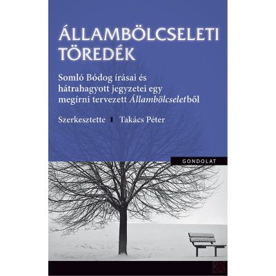 ÁLLAMBÖLCSELETI TÖREDÉK. SOMLÓ BÓDOG ÍRÁSAI ÉS HÁTRAHAGYOTT JEGYZETEI EGY MEGÍRNI TERVEZETT ÁLLAMBÖLCSELETBŐL