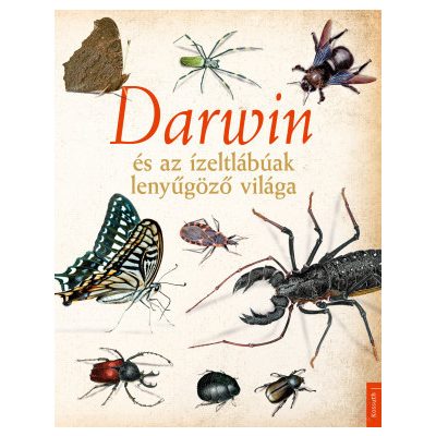 DARWIN ÉS AZ ÍZELTLÁBÚAK LENYŰGÖZŐ VILÁGA