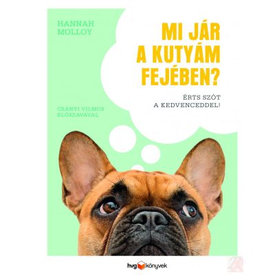 MI JÁR A KUTYÁM FEJÉBEN?