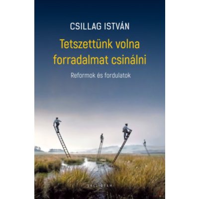 TETSZETTÜNK VOLNA FORRADALMAT CSINÁLNI