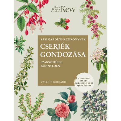 CSERJÉK GONDOZÁSA SZAKSZERŰEN, KÖNNYEDÉN