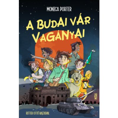 A BUDAI VÁR VAGÁNYAI