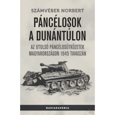 PÁNCÉLOSOK A DUNÁNTÚLON