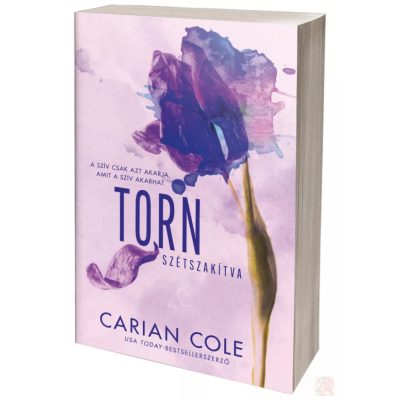 TORN – SZÉTSZAKÍTVA (NEM éldekorált kiadás)