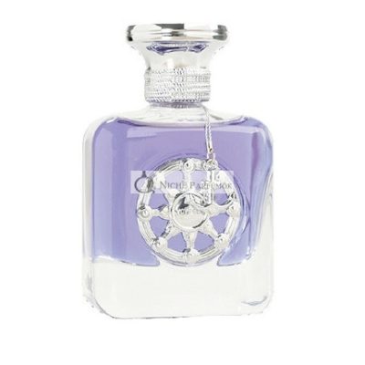 Voyager Silver Eau de Parfum, 100 ml