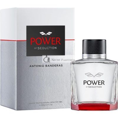 Antonio Banderas Power of Seduction Eau de Toilette Spray for Men, 100 ml
