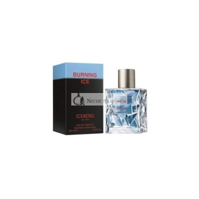 Iceberg Burning Ice Eau de Toilette Spray 50ml férfiaknak