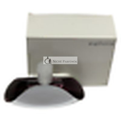 Calvin Klein Euphoria Eau de Parfum Női Spray, 100 ml