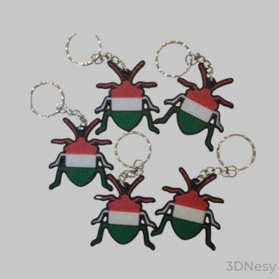 Nemzeti Színű Poloska Kulcstartó