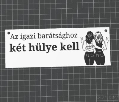 Az igazi barátsághoz 2 hülye kell