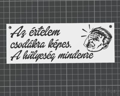 Az értelem csodákra képes, a hülyeség mindenre