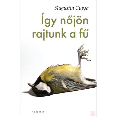 ÍGY NŐJÖN RAJTUNK A FŰ