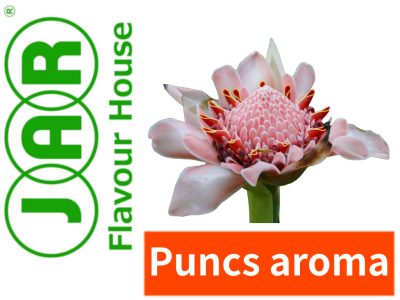 Puncs aroma JAR