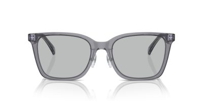 EMPORIO ARMANI 0EA4226D 502987 55 Napszemüveg