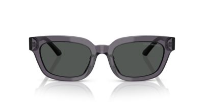 EMPORIO ARMANI 0EA4233U 610687 53 Napszemüveg