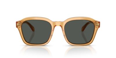 EMPORIO ARMANI 0EA4245U 624687 54 Napszemüveg