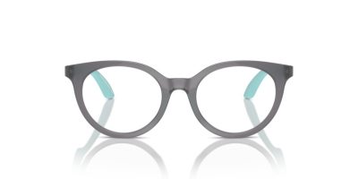 Emporio Armani Kids 0EK3007 6134 47 Szemüvegkeret