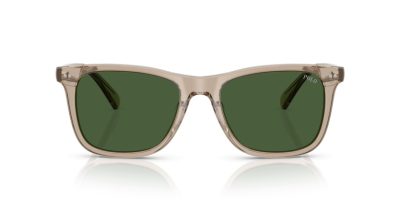 POLO 0PH4220U 620171 55 Napszemüveg