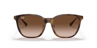 RAY-BAN 0RB4333D 710/13 55 Napszemüveg