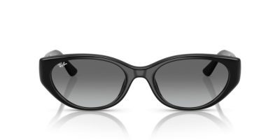 RAY-BAN 0RB4457D 667711 55 Napszemüveg