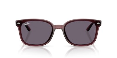 RAY-BAN 0RB4461D 659373 64 Napszemüveg