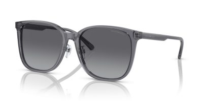 EMPORIO ARMANI 0EA4206D 5029T3 57 Napszemüveg