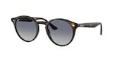 RAY-BAN 0RB2180 710/4L 49 Napszemüveg