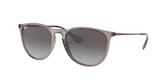 RAY-BAN ERIKA 0RB4171 65138G 54 Napszemüveg
