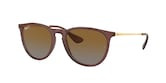 RAY-BAN ERIKA 0RB4171 67434L 54 Napszemüveg