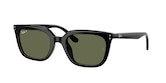 RAY-BAN 0RB4439D 901/9A 54 Napszemüveg