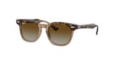 RAY-BAN JUNIOR 0RJ9098S 7152T5 45 Napszemüveg
