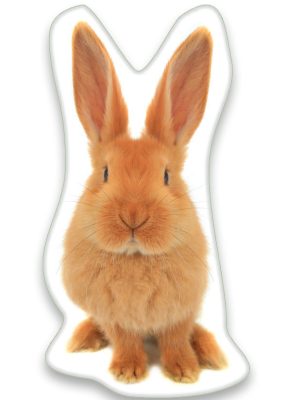 Nyuszis Brown formapárna, díszpárna 22x36 cm