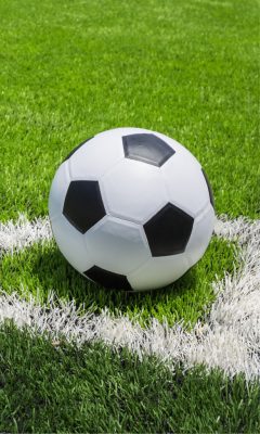 Focis Corner kéztörlő, arctörlő, törölköző 30x50cm