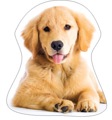 Kutyás Golden Retriver formapárna, díszpárna 35x35 cm