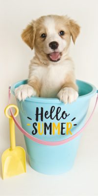 Kutyás Hello Summer fürdőlepedő, strand törölköző 70x140cm