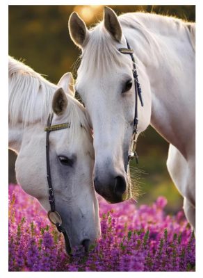 Lovas Whispers A/4 gumis mappa