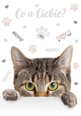 Cicás Meow A/4 gumis mappa