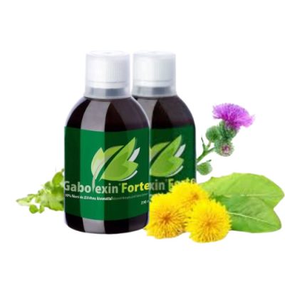GABOLEXIN Forte DUO – 2×250 ml