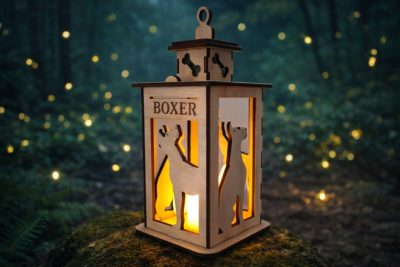 Kutyás Boxer