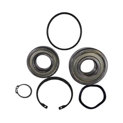Kit, Ball Bearing 6305.SYN/6205.SYN