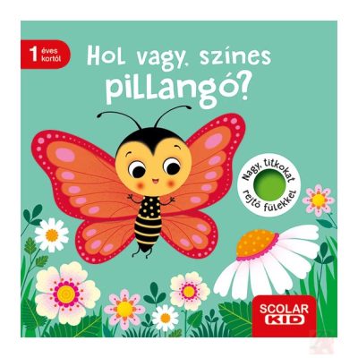 HOL VAGY, SZÍNES PILLANGÓ?