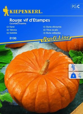 Sütőtök Rouge vif d'Etampes