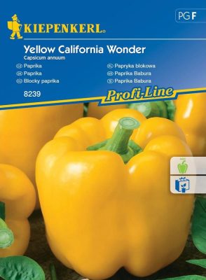 Blocky paprika Yellow California Wonder
