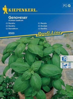 Bazsalikom Genoveser