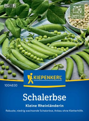 Kifejtőborsó Kleine Rheinländerin