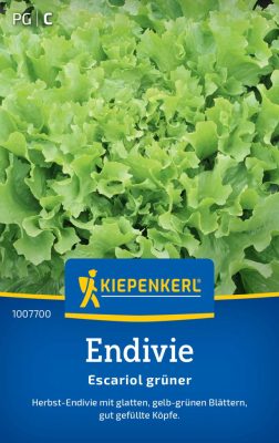 Endíviasaláta Escariol grüner