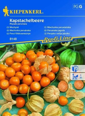 Perui földicseresznye (Kapstachelbere)