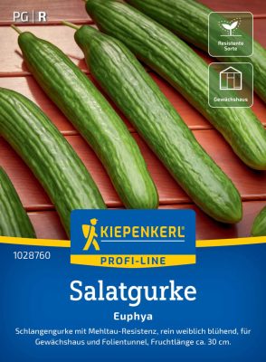 Salátauborka Euphya, F1