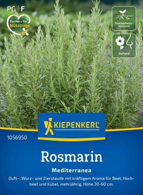 Rozmaring Mediterranea