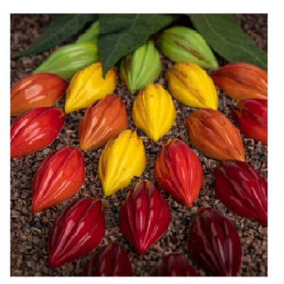 Bonbon csokoládéforma (MA1079), 275x175x26 mm, polikarbonát, BPA mentes